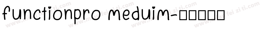 functionpro meduim字体转换